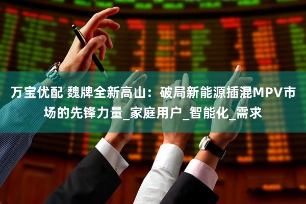 万宝优配 魏牌全新高山：破局新能源插混MPV市场的先锋力量_家庭用户_智能化_需求