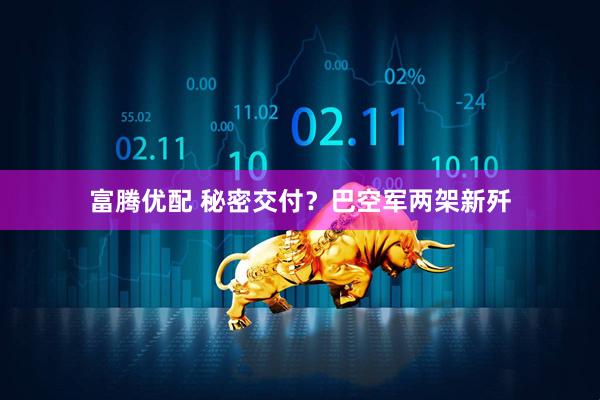 富腾优配 秘密交付？巴空军两架新歼
