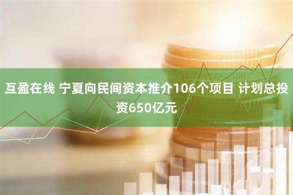 互盈在线 宁夏向民间资本推介106个项目 计划总投资650亿元